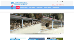 Desktop Screenshot of actionprofessional.com